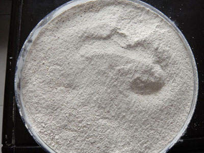 SWEET POTATO POWDER 