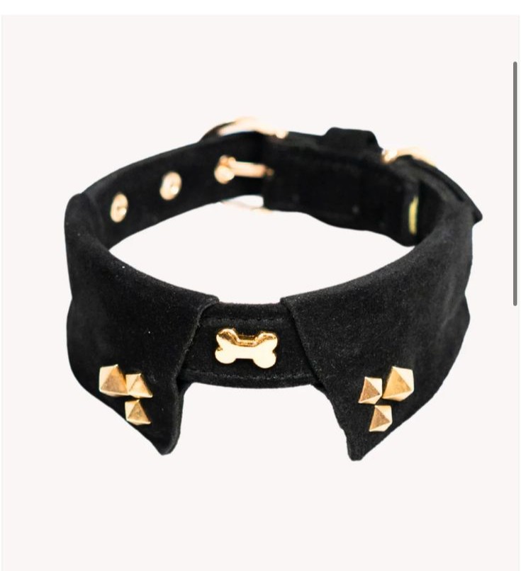 Rebel Collar